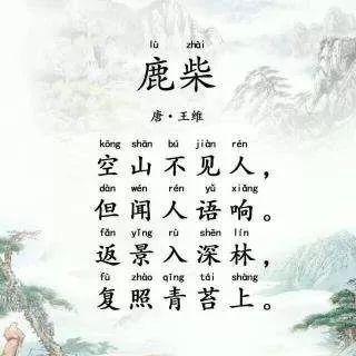 鹿柴视频,探寻自然之美与禅意人生
