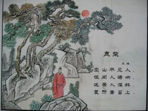 鹿柴视频,探寻自然之美与禅意人生