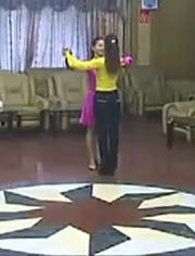 交谊舞曲大全视频,交谊舞曲大全视听盛宴
