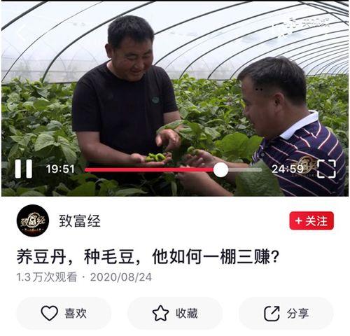 致富经视频全集,揭秘财富密码，逐梦创业之路