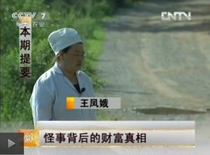 致富经视频全集,揭秘财富密码，逐梦创业之路