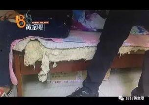 摸屁股的视频,网络热传摸屁股瞬间，引发网友热议