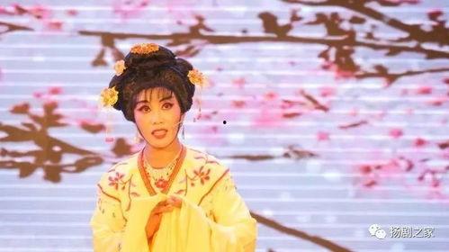 扬剧视频,传承与创新的艺术之旅