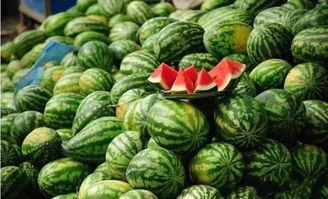 黑瓜吃料历史回顾,一场美食之旅的回顾