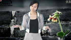 手语歌曲教学视频