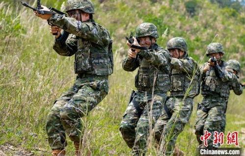 武警特战视频,武警特战视频深度解析