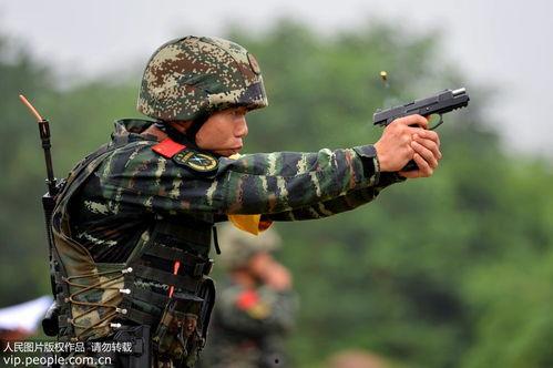 武警特战视频,武警特战视频深度解析