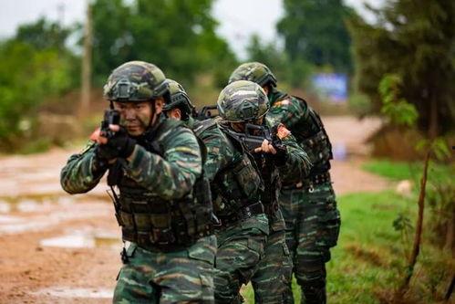 武警特战视频,武警特战视频深度解析