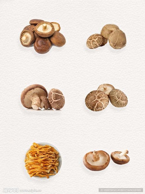香菇图片大全大图,菌香四溢，美味尽收眼底