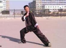 劈挂拳视频,视频教学中的招式解析与实战技巧