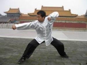 劈挂拳视频,视频教学中的招式解析与实战技巧