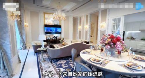 豪宅视频,揭秘豪宅背后的生活艺术