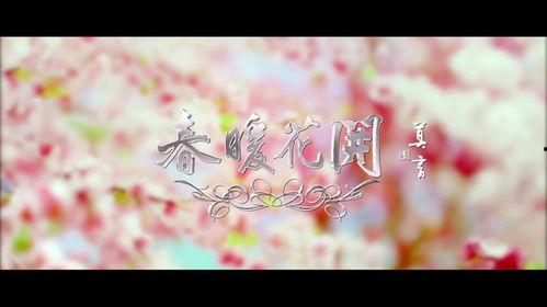春暖花开 视频,探寻自然之美与生命活力的视觉盛宴