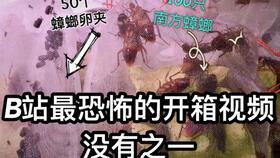 拔甲视频,疼痛与恢复的真相