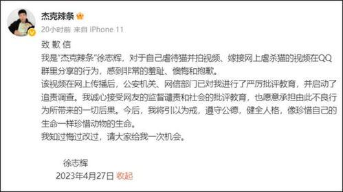 拔甲视频,疼痛与恢复的真相