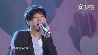 得得爱视频,探索情感共鸣的视觉之旅