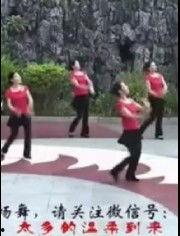 锻炼操视频,轻松打造健康体态